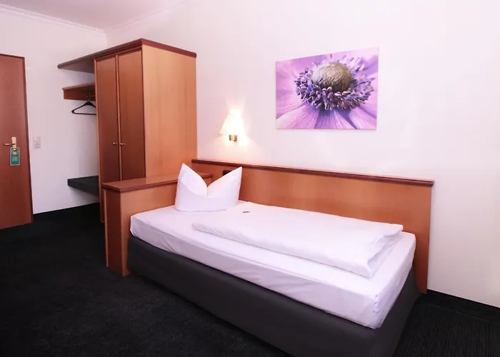 Hotel Hirsch 3*